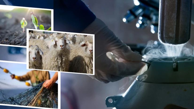 Üretim yapan çiftçilerin destek ödemesi yapıldı