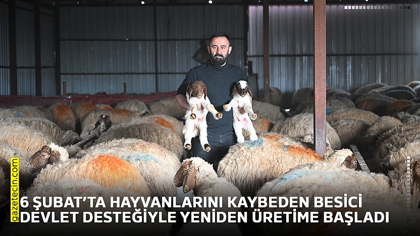 6 Şubat'ta hayvanlarını kaybeden besici devlet desteğiyle yeniden üretime başladı