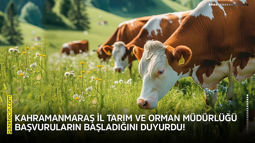 Kahramanmaraş İl Tarım ve Orman Müdürlüğü başvuruların başladığını duyurdu!