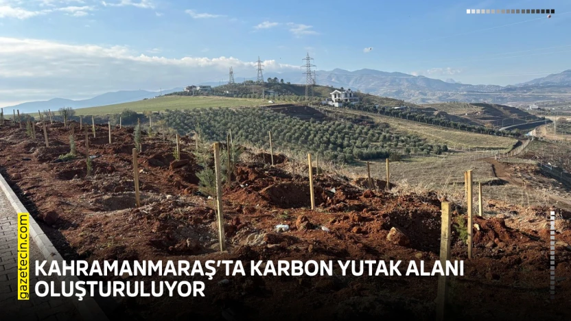 Kahramanmaraş'ta karbon yutak alanı oluşturuluyor