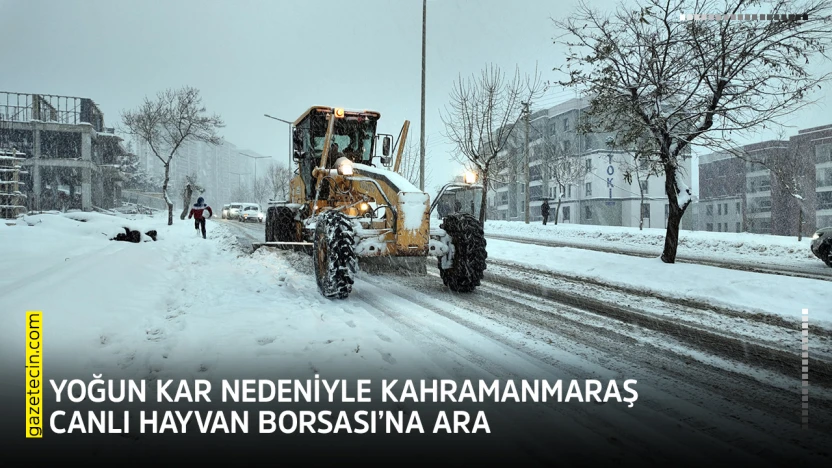 Yoğun kar nedeniyle Kahramanmaraş Canlı Hayvan Borsası'na ara