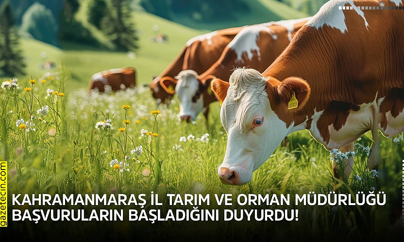 Kahramanmaraş İl Tarım ve Orman Müdürlüğü başvuruların başladığını duyurdu!