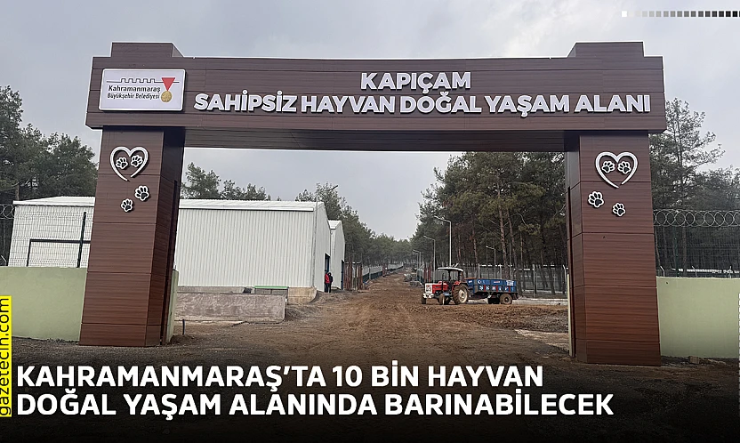 Kahramanmaraş'ta 10 bin hayvan doğal yaşam alanında barınabilecek