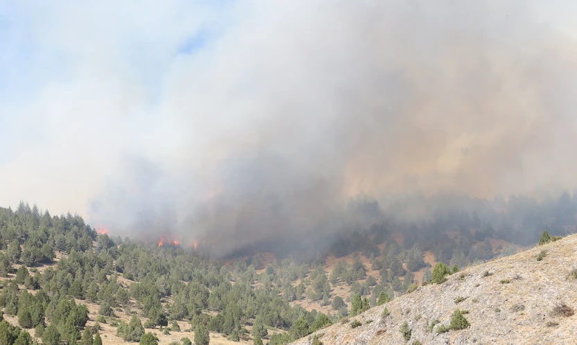 Kahramanmaraş'ta çıkan orman yangınına müdahale sürüyor