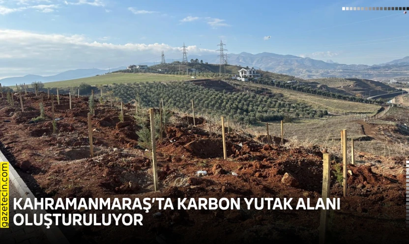 Kahramanmaraş'ta karbon yutak alanı oluşturuluyor