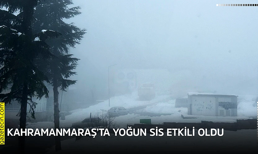 Kahramanmaraş'ta yoğun sis etkili oldu