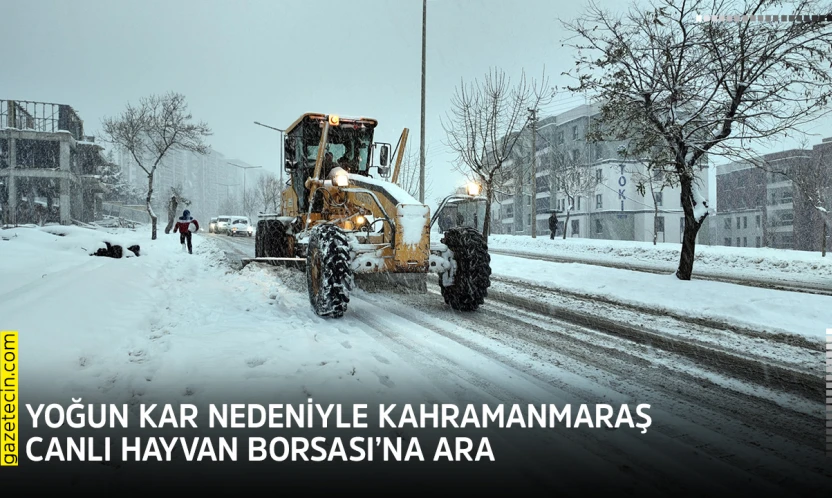 Yoğun kar nedeniyle Kahramanmaraş Canlı Hayvan Borsası'na ara